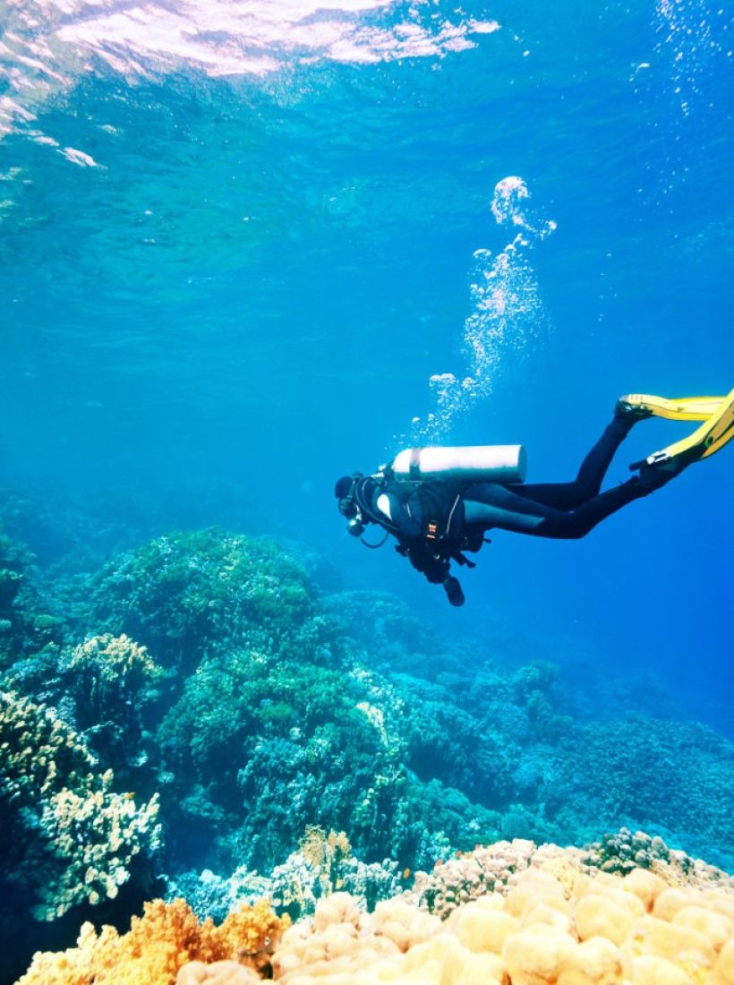 amed dive site - benoa tirta harum